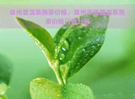 泉州普洱茶熟茶价格，泉州市场普洱茶熟茶价格行情分析